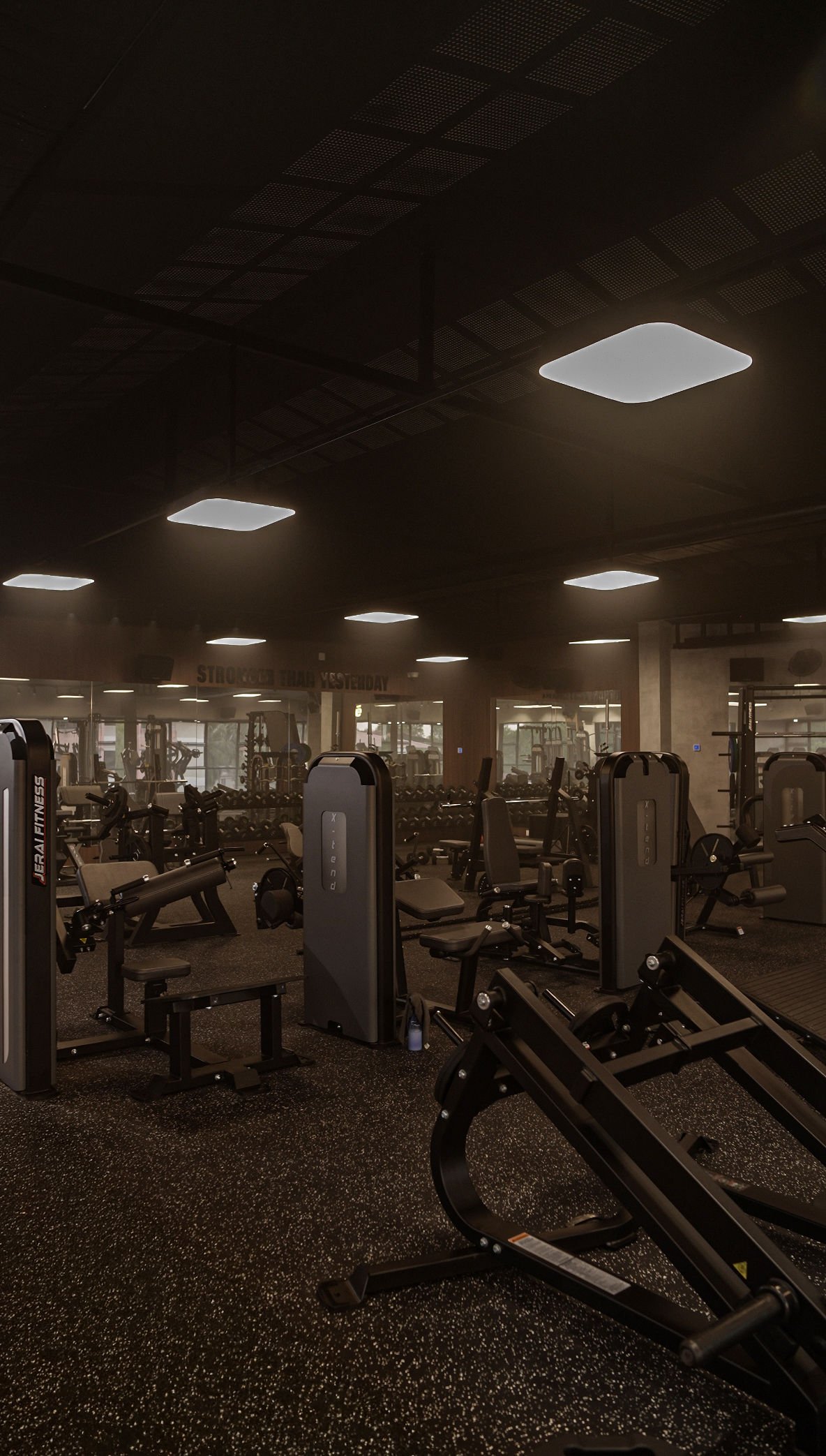 Rashé Fitness gym floor with strength training machines